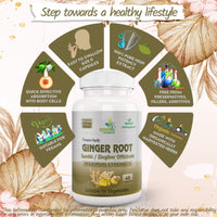 Ayushya Ginger Root (Sunthi) Capsule