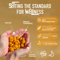 WELLSET Turmeric & Ginger Gummies 1490mg - 60 Gummies | Supports Healthy Joints & Digestion | 1 Month Supply | for Men and Women