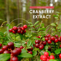 Organic Cranberry Extract 52,500mg – 180 Vegan Capsules – High Strength 52.5mg Anthocyanins Cranberry Extract (Vaccinium Macrocarpon) – by Alpha01