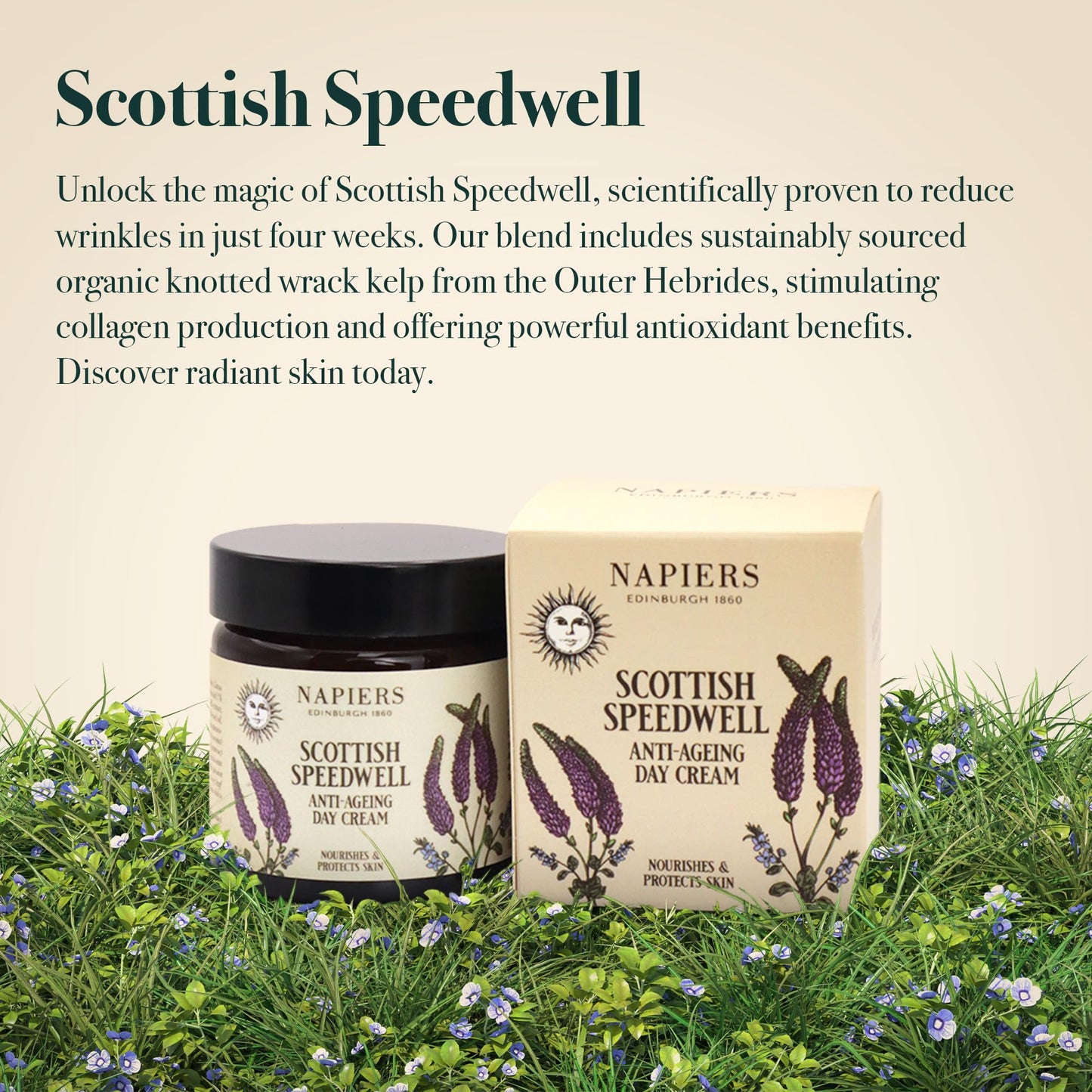 Napiers Speedwell Ageless Day Cream - Anti-Aging & Wrinkle Reduction with Scottish Speedwell & Organic Seaweed - 60ml
