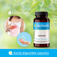 Choline 350 mg 100 Capsules - Liver Detox and Health Support Supplement by BIOHERBA