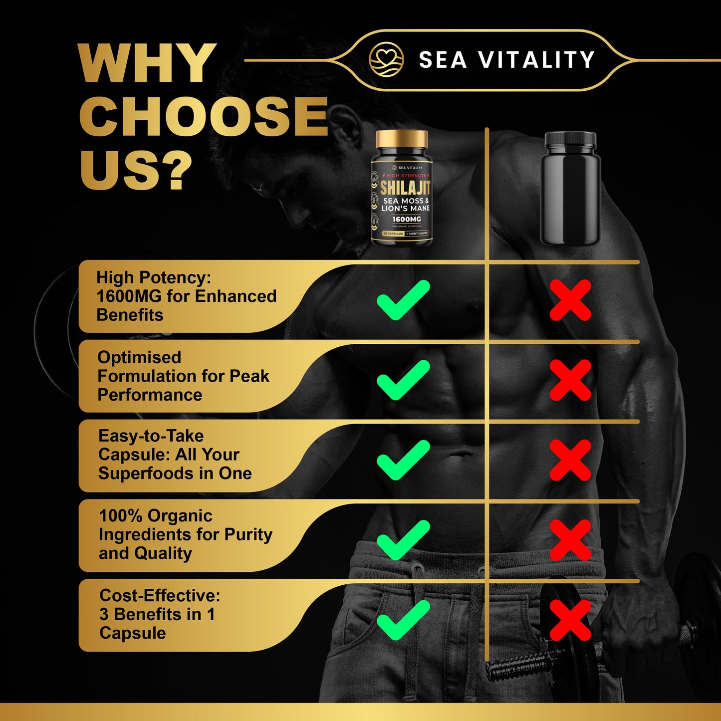 Shilajit SeaMoss and Lions Mane Capsules - 60 High-Strength Vegetable Capsules, 1600mg per Serving, Pure Shilajit, Natural Sea Moss, and Lion's Mane for Enhanced Cognitive and Physical Health