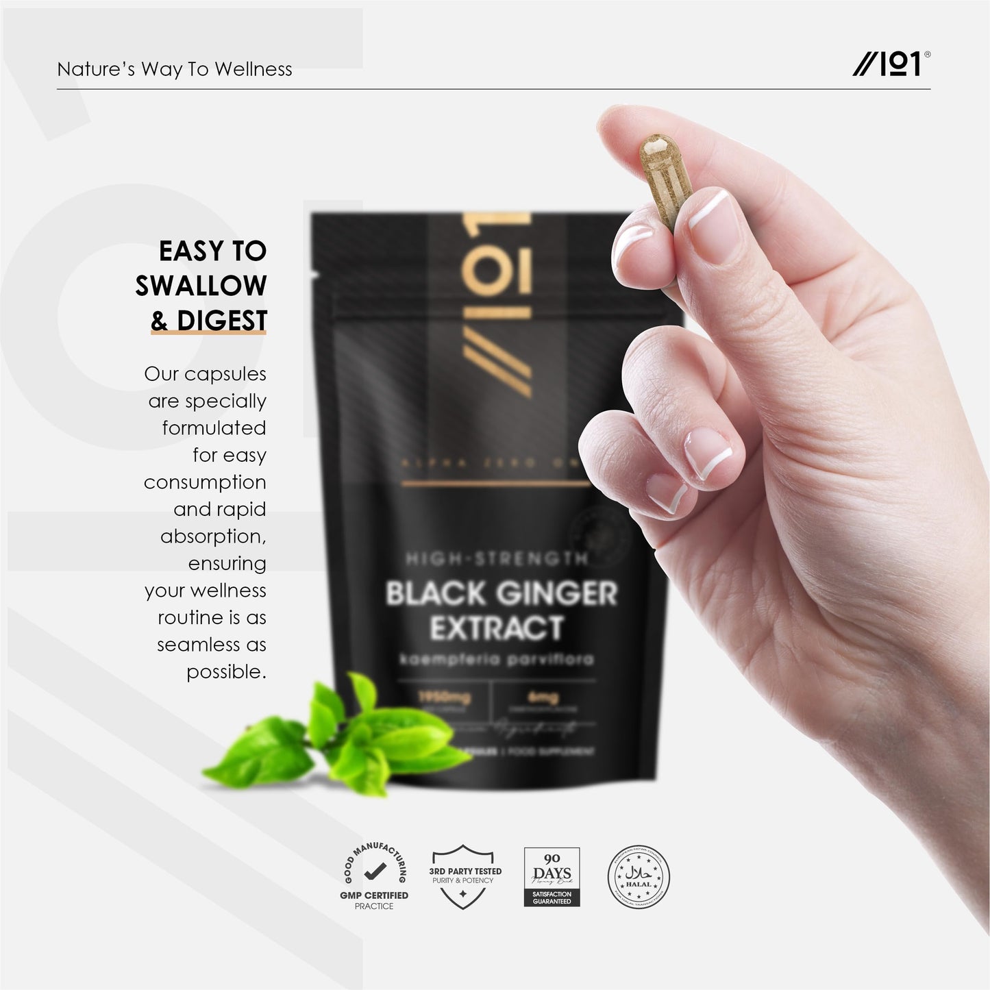 Black Ginger Extract 1950mg – High Strength 4% Dimethoxyflavone (6mg) - 90 Vegan Capsules (3 Month Supply) - Resealable and Recyclable Pouch – by Alpha01