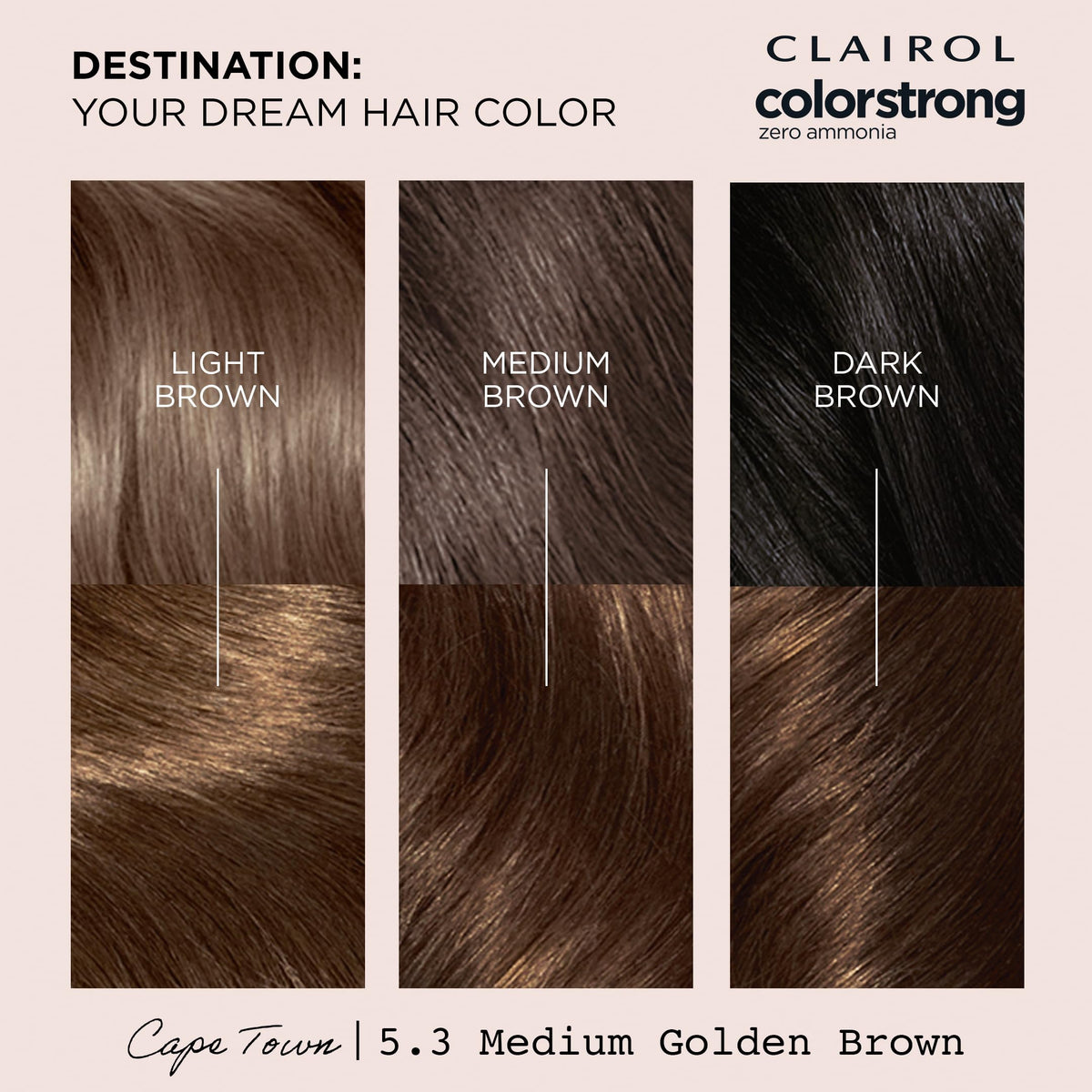 Clairol Colour Strong Permanent Hair Dye - 5.3 Medium Golden Brown