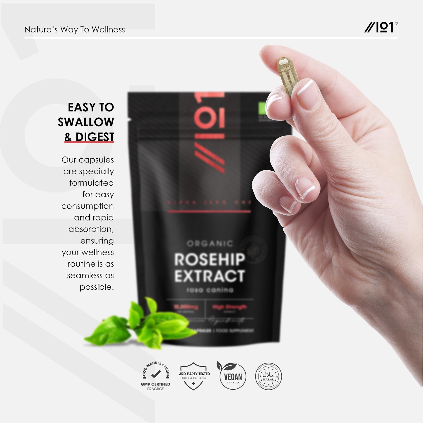 ALPHA01 Organic Rosehip Extract 10,000mg - 120 Vegan Capsules – High Strength Rosa Canina Supplement – Resealable and Recyclable Pouch by Alpha01
