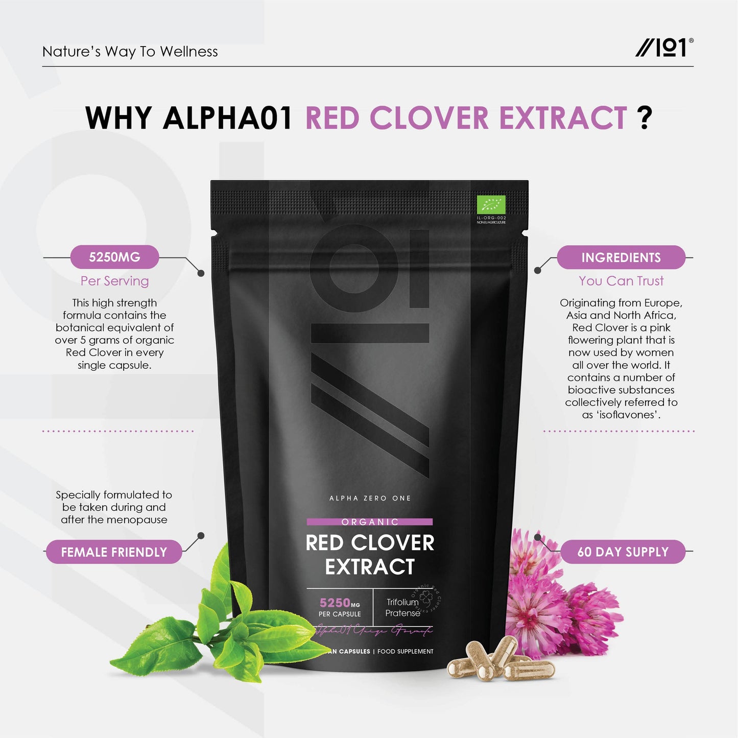 ALPHA01 Organic Red Clover Extract 5250mg - for Use During The Menopause - Potent 15:1 Pure Extract - Halal – 60 Vegan Capsules