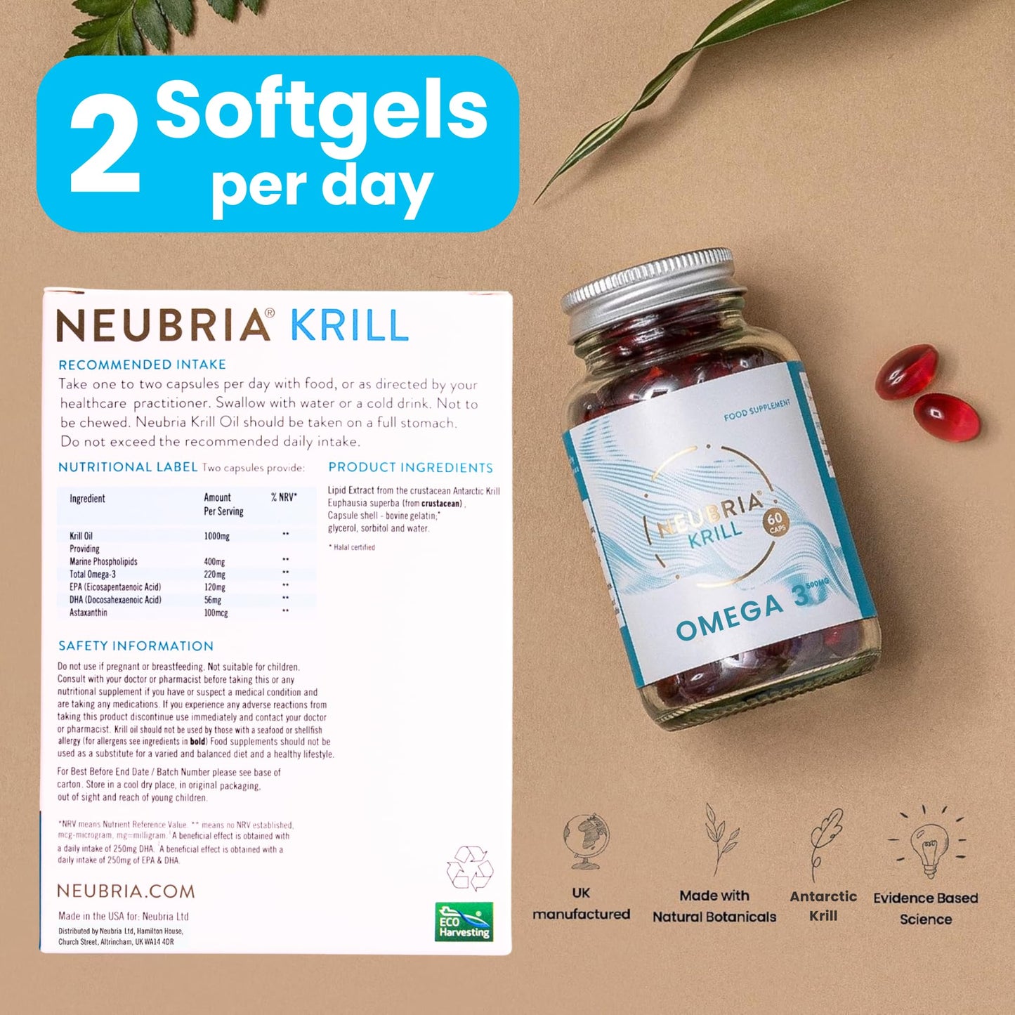 NEUBRIA Krill Oil Advanced Omega-3 Supplement - High Strength 1000mg - Phospholipids, EPA & DHA with Astaxanthin and Choline - Fish Oil Alternative, Cognitive Formula - Antarctic Krill - 60 Softgels