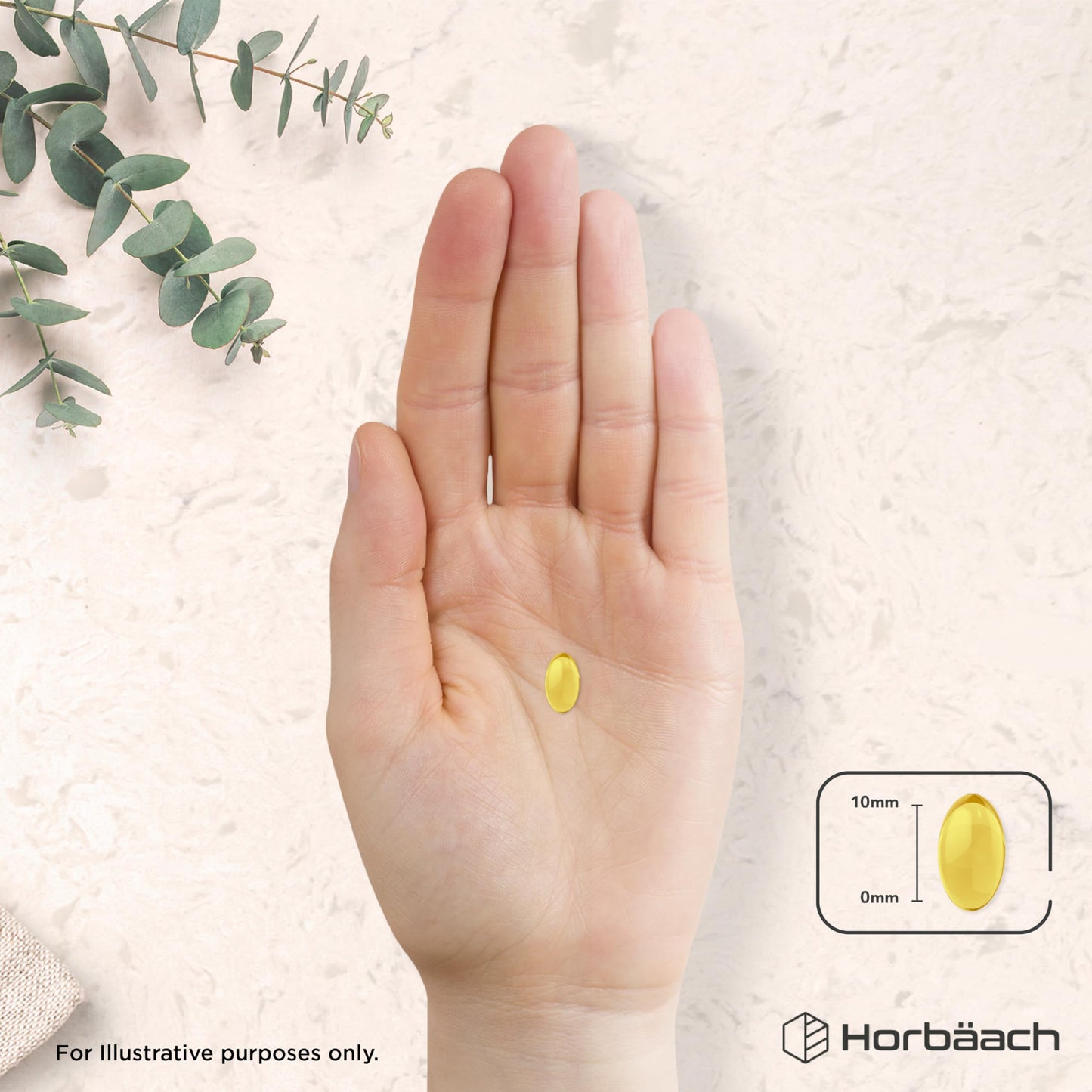 Horbäach Evening Primrose and Starflower Oil Capsules 1000mg | with Vitamin B6 | 60 Softgels | Rich Source of Omega 6 GLA & 9 Oleic Fatty Acids | by Horbaach