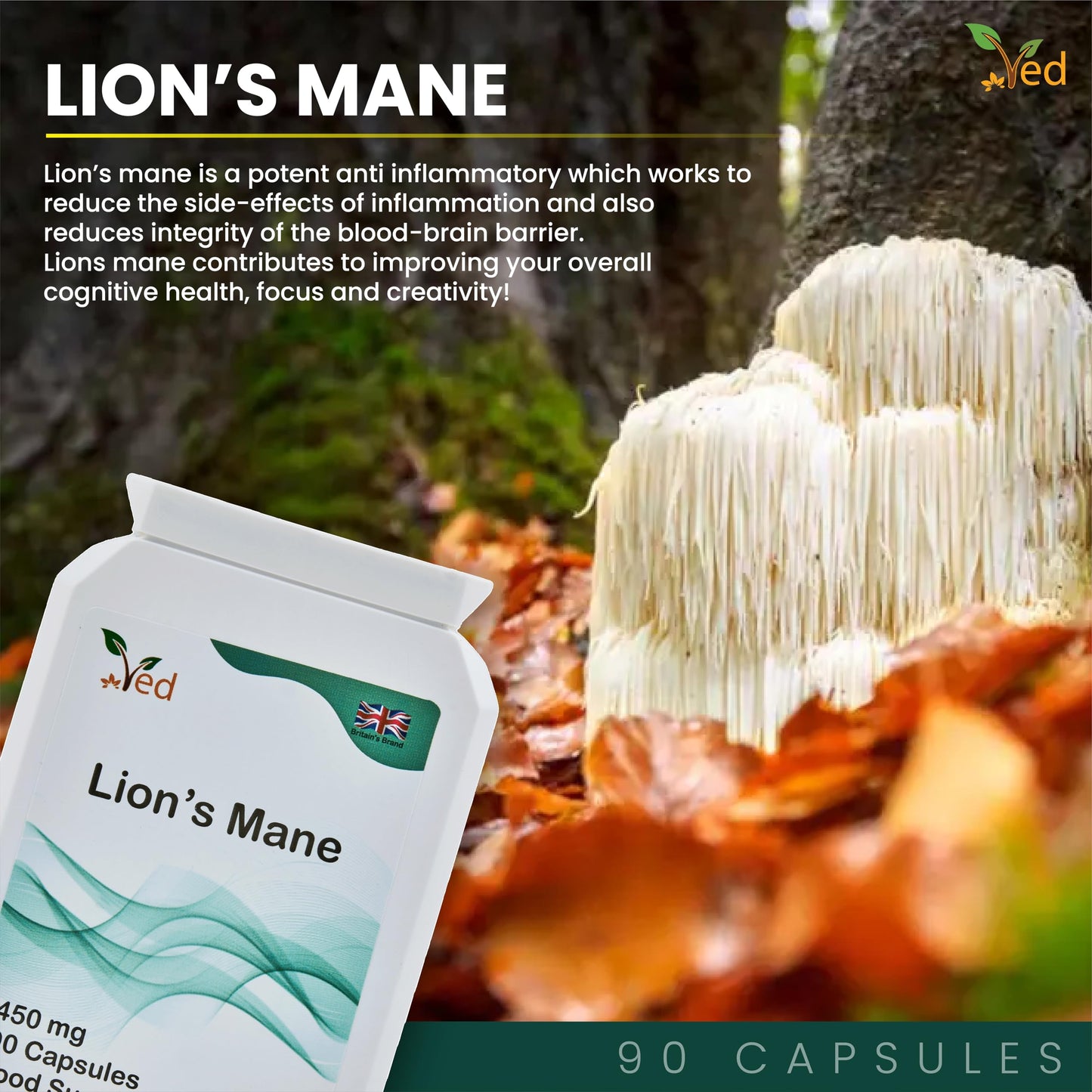VED Ved Lion’s Mane Supplement 450mg, Lion's Mane Mushroom 15:1 Extract 90 Capsule (3 Months Supply)