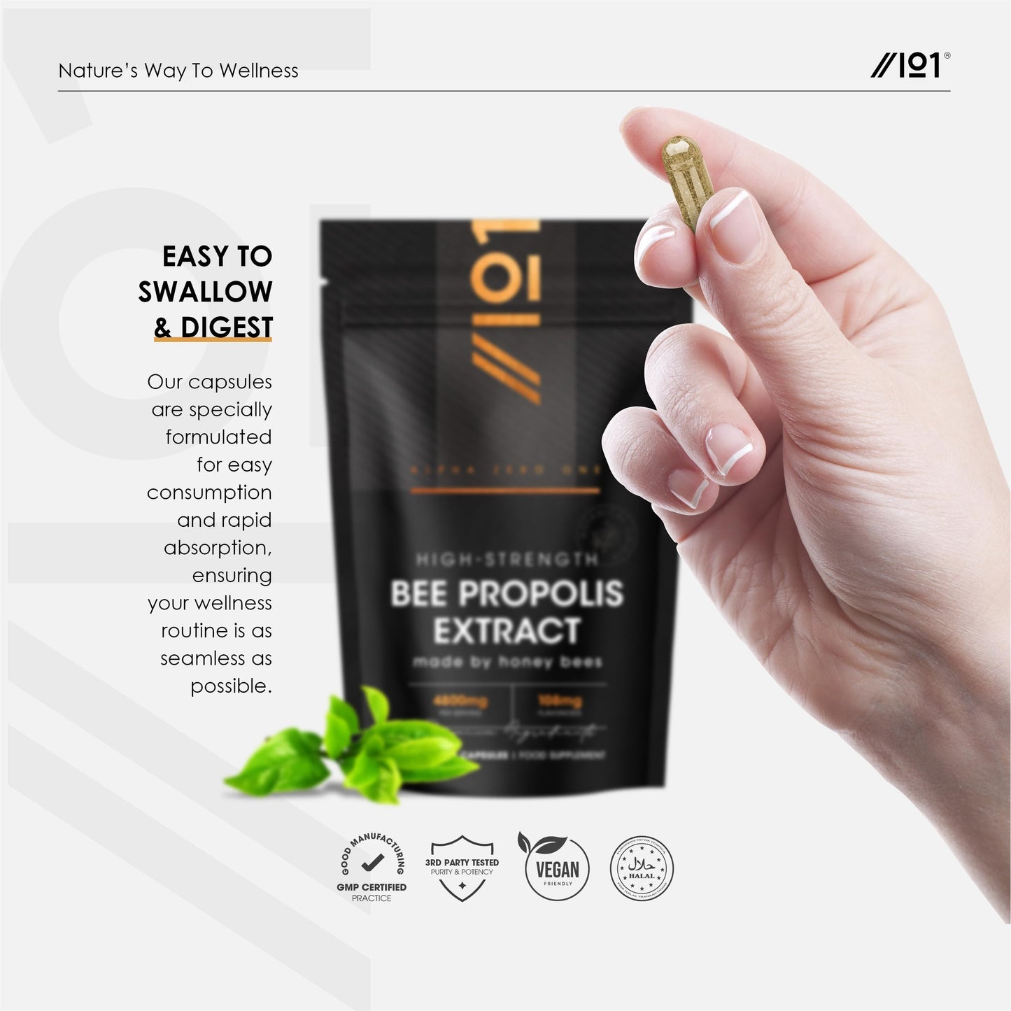 ALPHA01 Bee Propolis Extract 4800mg - 108mg Flavonoids Propolis Supplement - 90 Vegan Capsules - Resealable and Recyclable Pouch by Alpha01