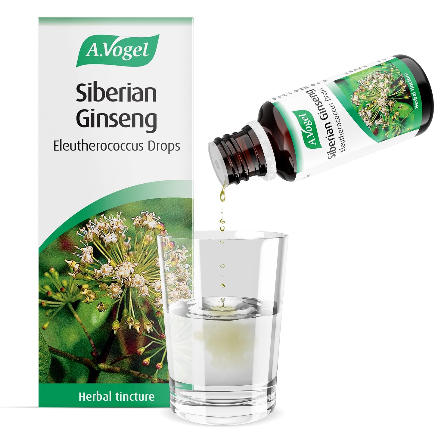 A.Vogel Siberian Ginseng Eleutherococcus Drops | Herbal Food Supplement | Made from Siberian Ginseng Root | Suitable for Vegans | 50ml