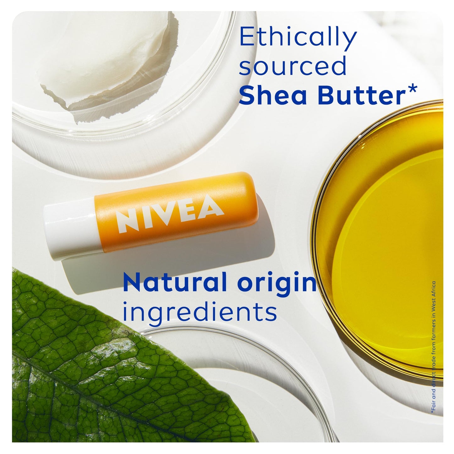 NIVEA Sun Protect Caring Lip Balm (4.8g), Lip Balm with Shea Butter and SPF 30, Protects Against UVA/UVB Rays with 24H Moisture, Lip Care