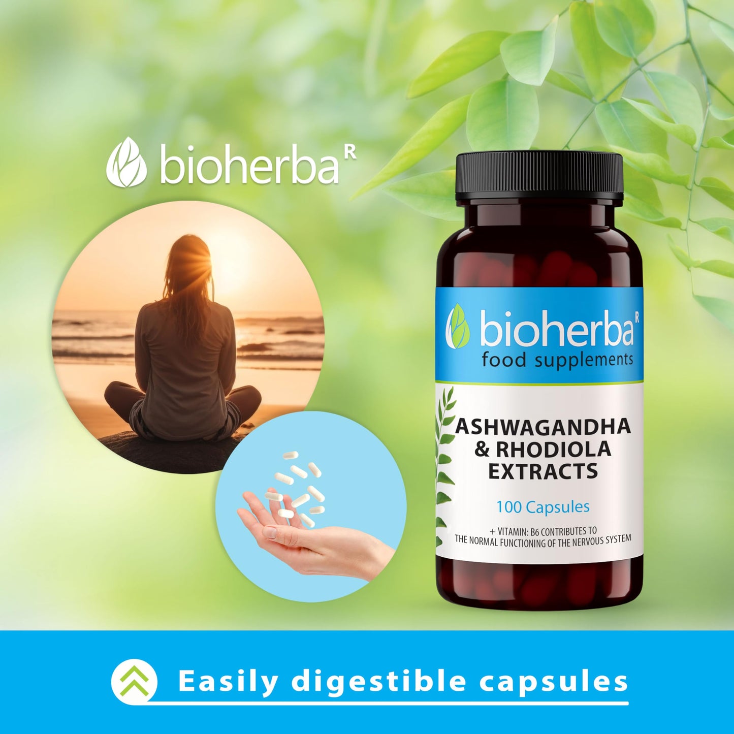 Ashwagandha Rhodiola Supplement by BIOHERBA - 100 High-Potency Capsules for Stress Relief and Sleep Support for Adults