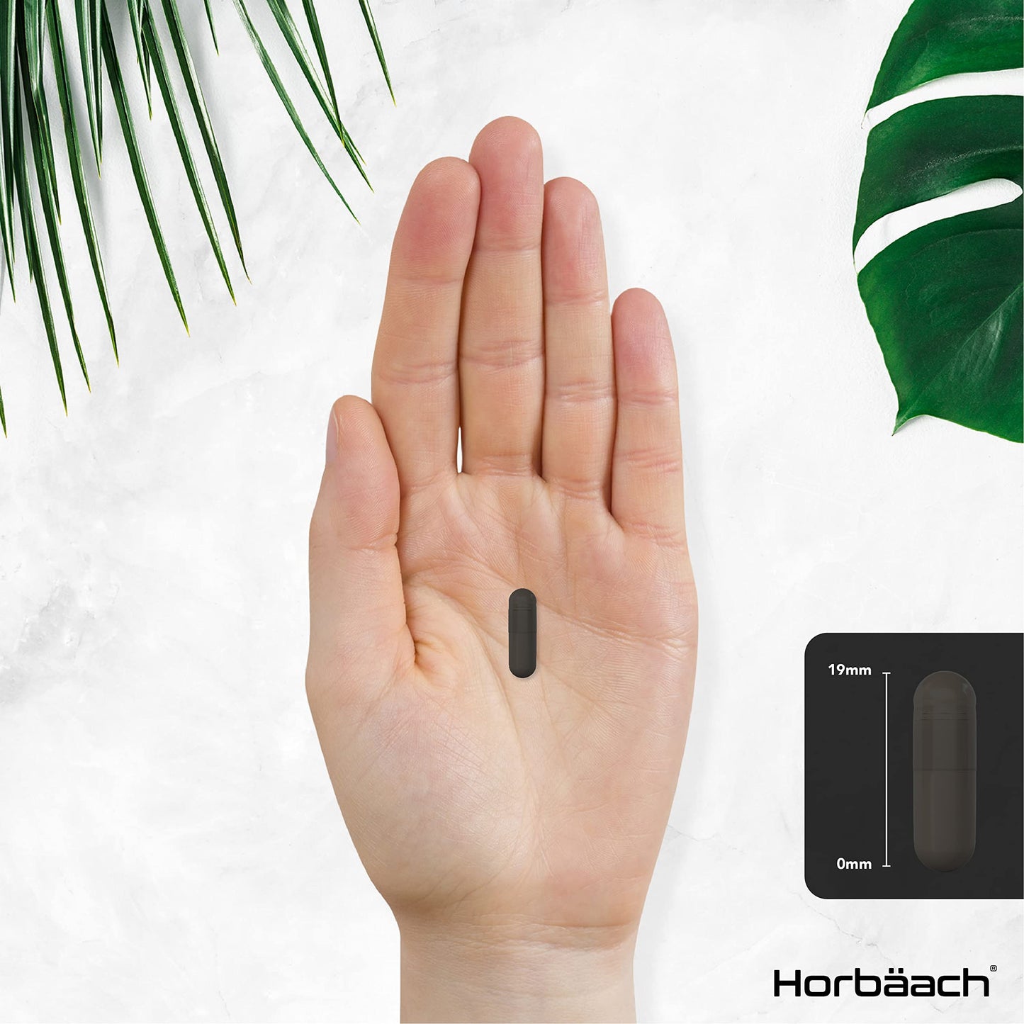 Activated Charcoal Capsules | High Strength 780mg | Digestion Supplement from Natural Coconut | 90 Tablets | by Horbaach
