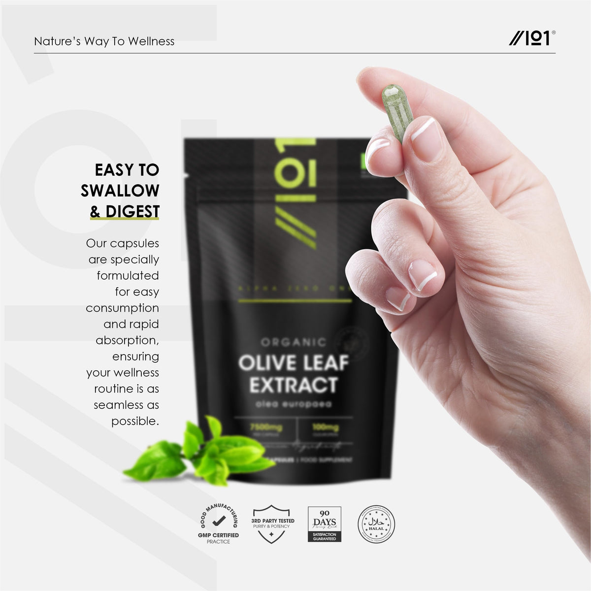 ALPHA01 Organic Olive Leaf Extract 7500mg – Standardised 20% Oleuropein – 60 Vegan Capsules (2 Months Supply) – Resealable and Recyclable Pouch by Alpha01