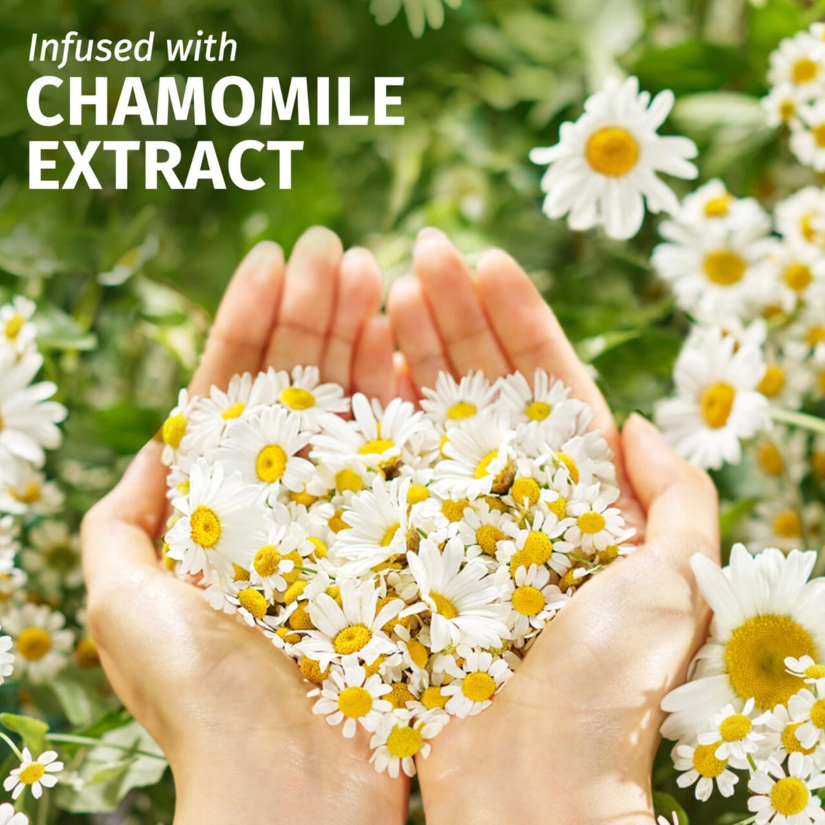 Infinite Emblems Chamomile Smooth & Shine Hair Care Set with Hairbrush, Shower Cap & Scrunchies, Shampoo and Conditioner Nourishing Formula for Silky, Shiny Hair For Women.