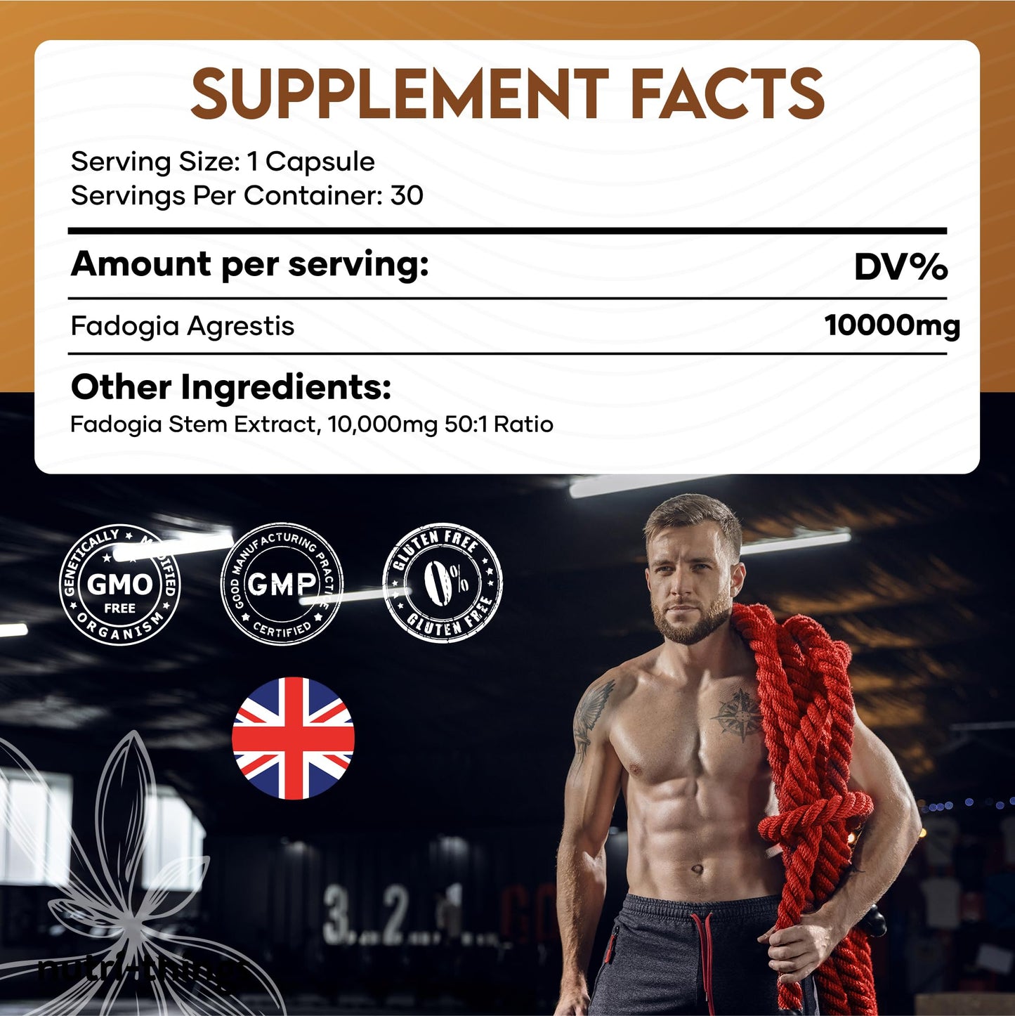 Nutri-things Elevate Your Health® Fadogia Agrestis Capsules