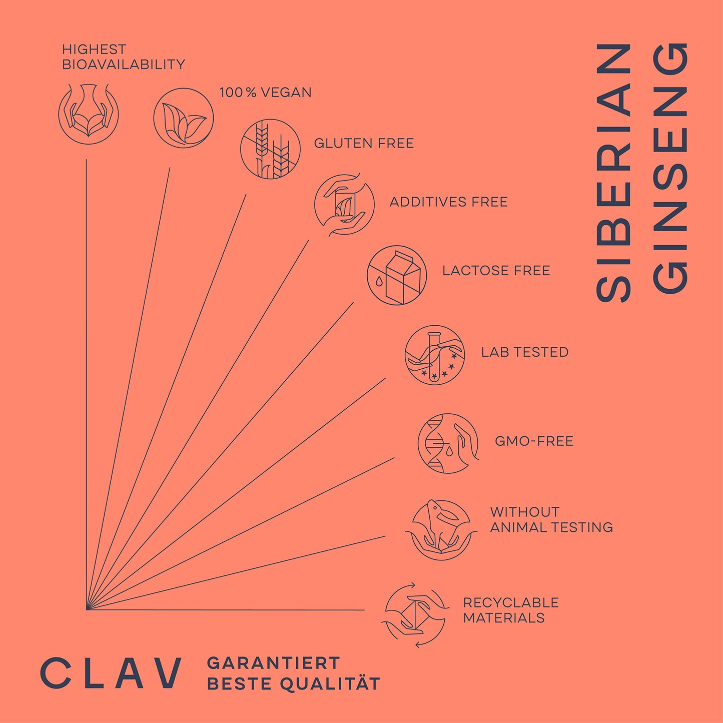 CLAV Siberian Ginseng Extract - 900mg Eleutherococcus Root Powder - Reduction of Tiredness & Fatigue - 60 Ginseng Capsules - Vegan - Made in Germany