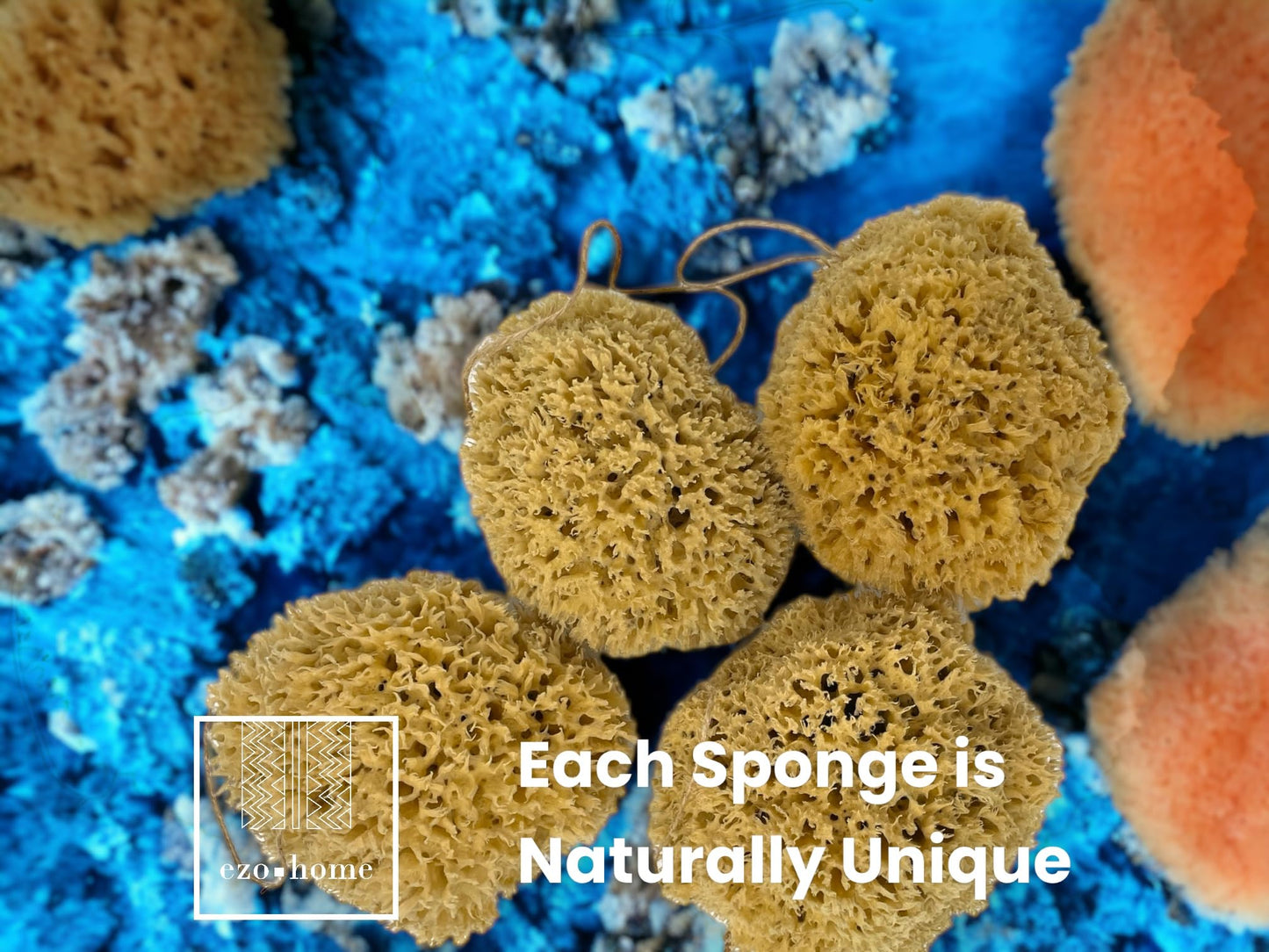 Ezo.Home XXL Sea Sponge Very Large 18-20cm Unbleached Honeycomb Natural Seasponge for Bath Use, for Baby, or Art use (XXL Size Minimum 18cm+) Whole Uncut
