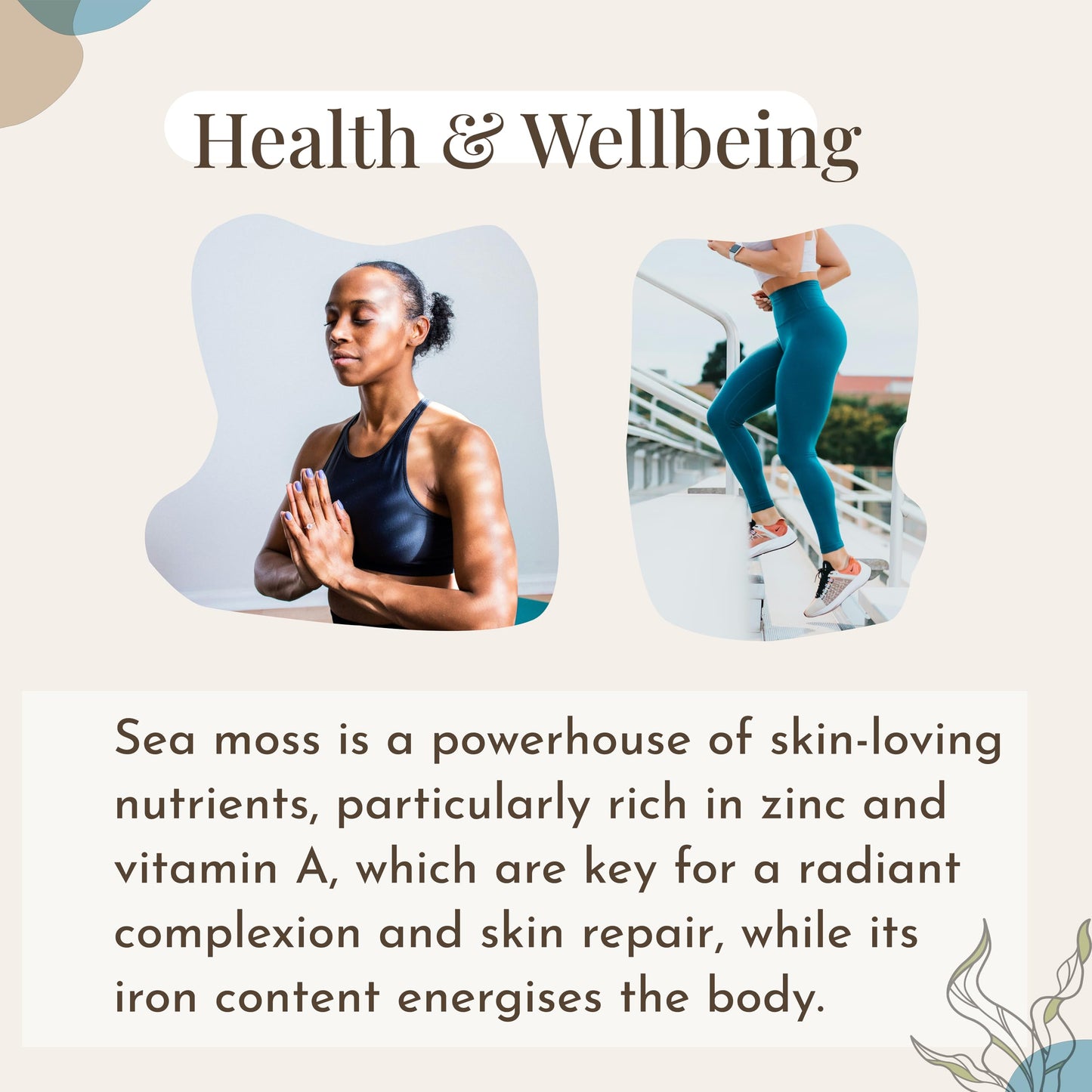 Mecantu® Raw Sea Moss (Irish Sea Moss) - Ethically Sourced & Eco-Friendly | Create Healthy Vegan Food, Drinks, Sea Moss Gel, and Sea Moss Powder | 2+ Months Supply (Refill, 100g)