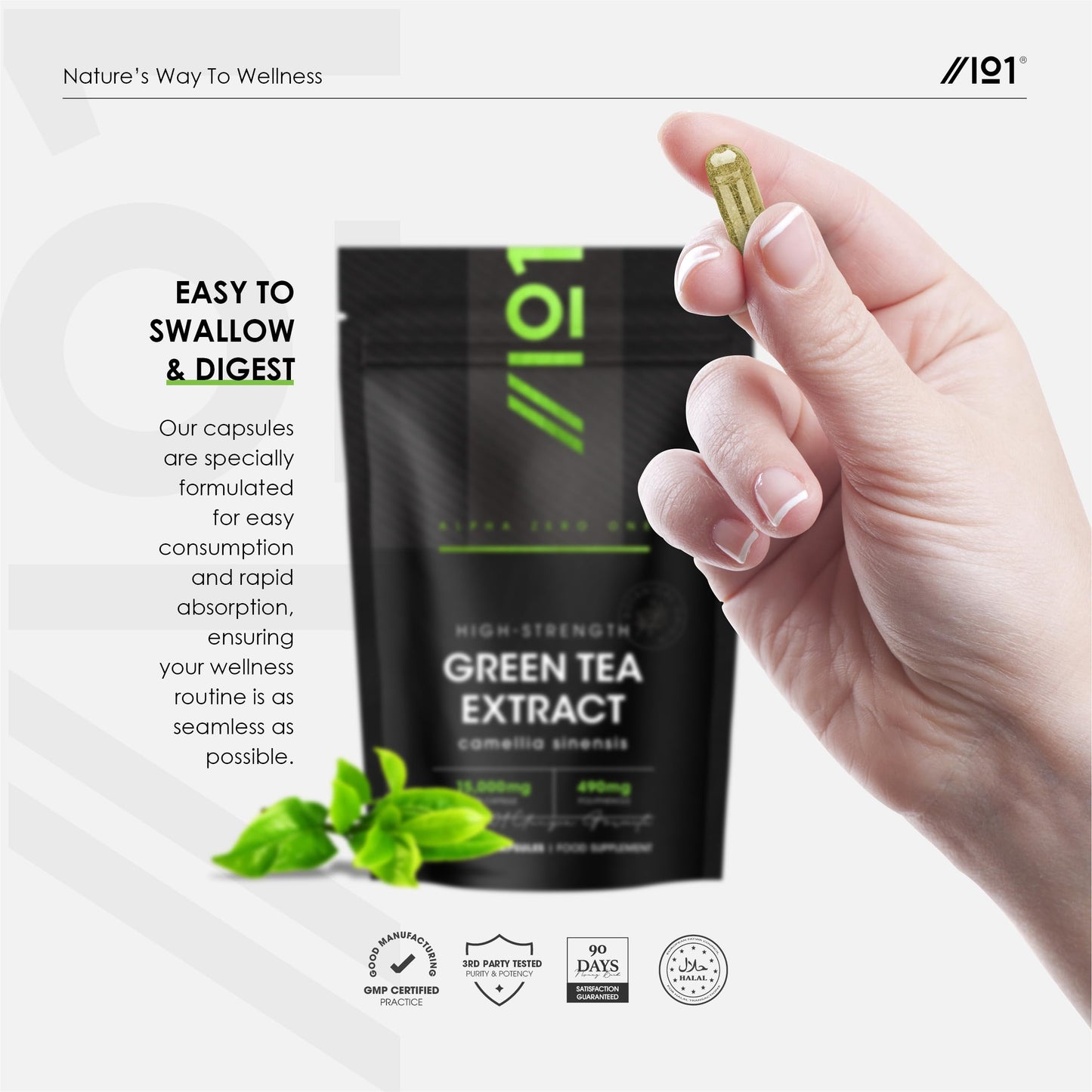 Green Tea Extract 15,000mg - High Strength 95% Polyphenols (490mg per Capsule) - 90 Vegan Capsules (3 Months Supply) - Resealable and Recyclable Pouch - by Alpha01