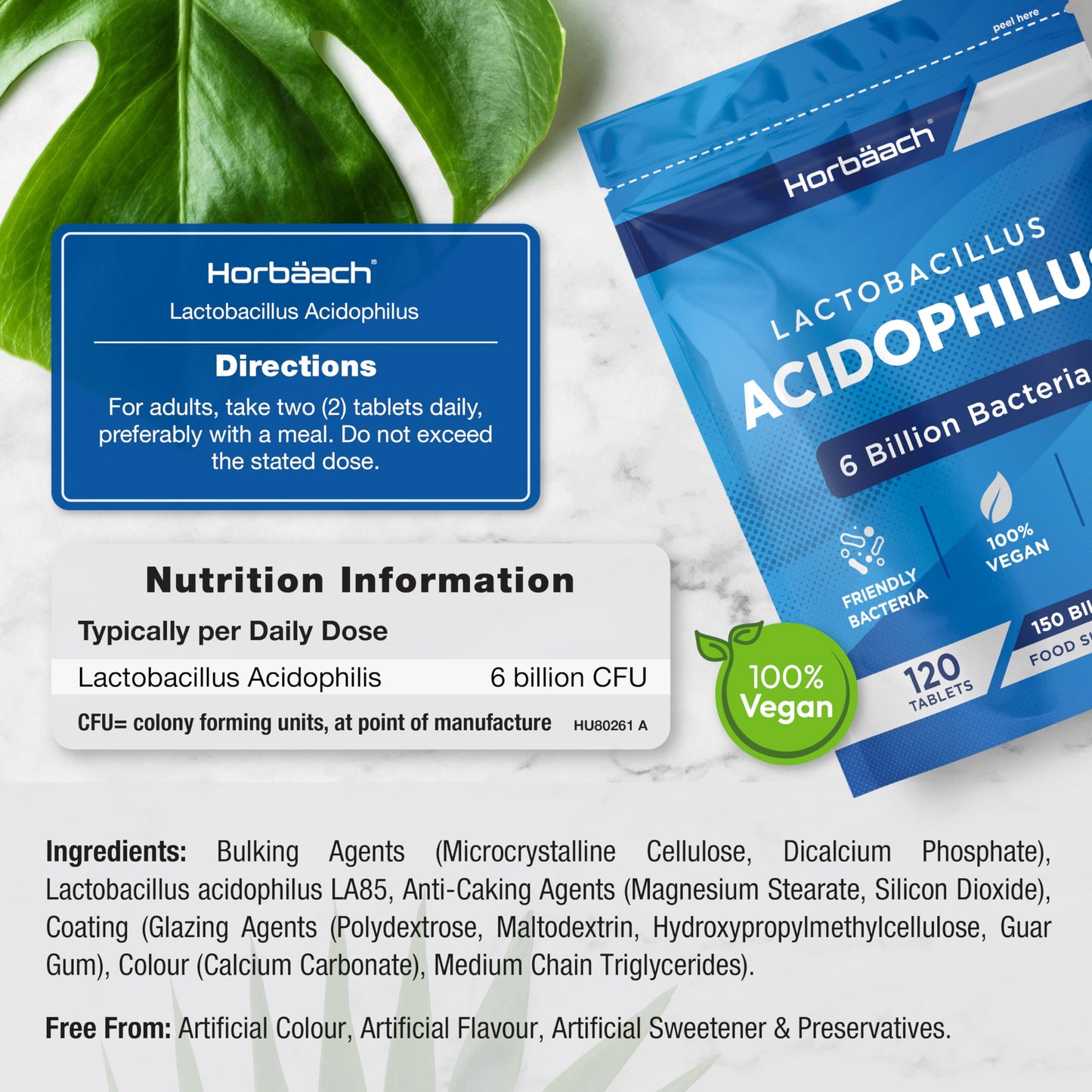Acidophilus Probiotic Tablets | 6 Billion CFU | Probiotic Supplement for Women & Men | 120 Vegan Tablets | by Horbaach