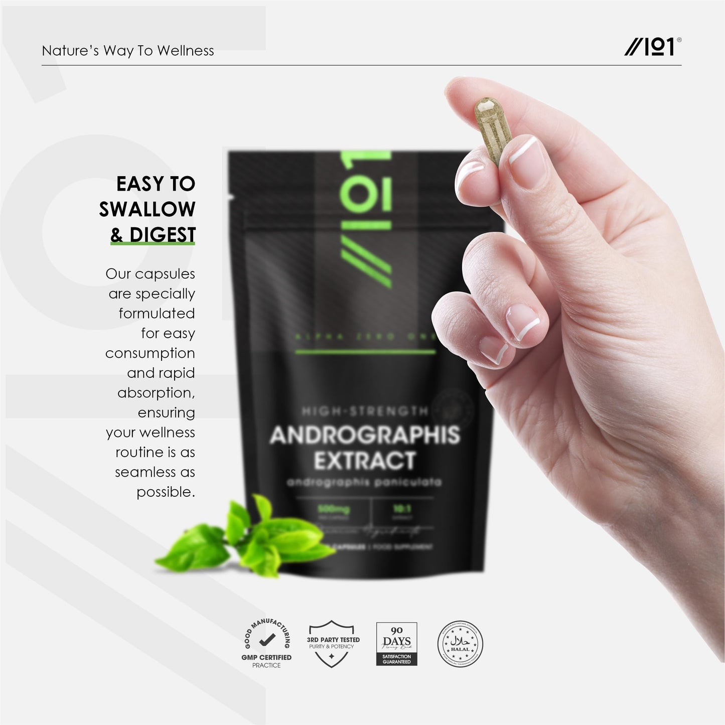ALPHA01 Andrographis Extract 500mg – High Strength Andrographis Paniculata Extract Equivalent to 5,000mg – 90 Vegan Capsules (3 Months Supply) – by Alpha01