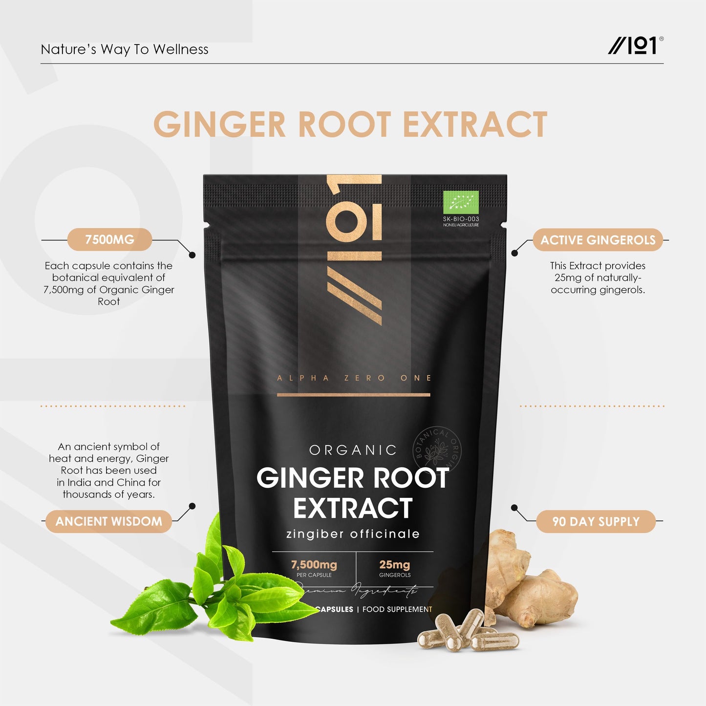 ALPHA01 Organic Ginger Extract 7500mg - High Strength 5% Gingerols (12.5mg) Supplement - 90 Vegan Capsules (3 Months Supply) – Resealable and Recyclable Pouch – by Alpha01