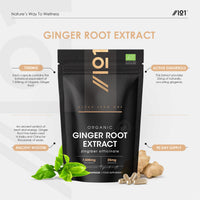 ALPHA01 Organic Ginger Extract 7500mg - High Strength 5% Gingerols (12.5mg) Supplement - 90 Vegan Capsules (3 Months Supply) – Resealable and Recyclable Pouch – by Alpha01