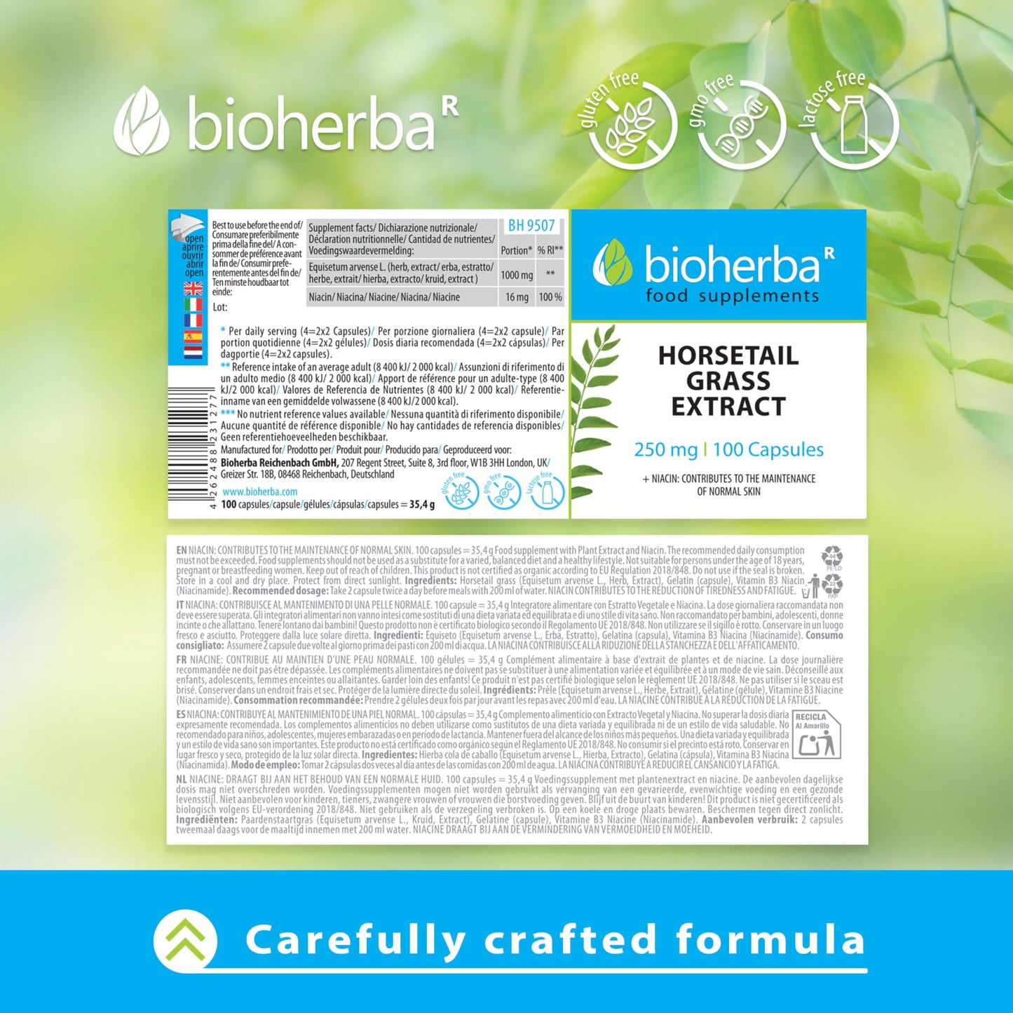 Horsetail Grass Extract 250 mg - 300 Capsules by BIOHERBA | Natural Silica-Rich Supplement for Hair Skin Nails and Bone Health