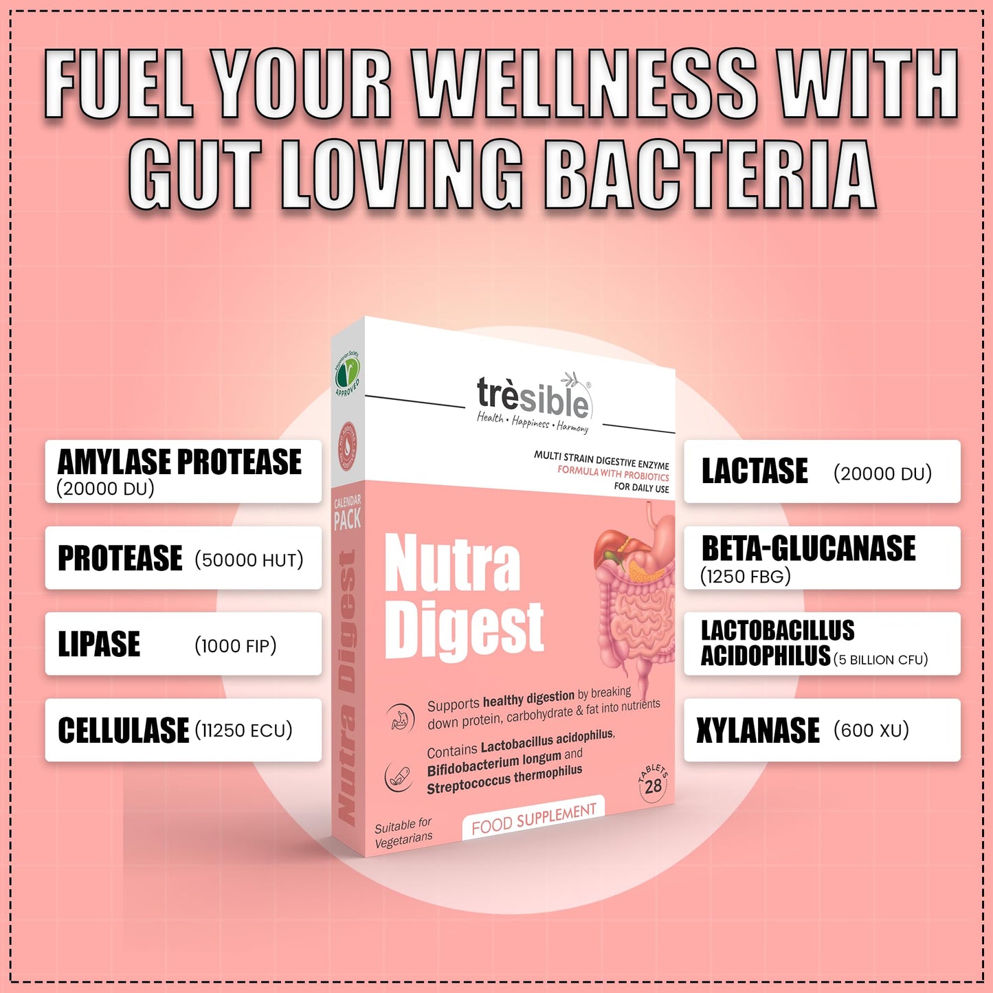 Tresible Trèsible Nutra Digest Probiotics for Women Gut Health (Pack of 3) - Veg Probiotic for Flat Belly & Bloat Control, Women's Probiotics, Multistrain Digestive Enzymes with Probiotics, 12 Weeks Supply