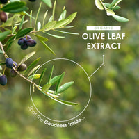 ALPHA01 Organic Olive Leaf Extract 7500mg | Wild European 20% Oleuropein (750mg 1:15 Extract) | No Additives | Non-GMO | Gluten Free | 60 Vegan Capsules