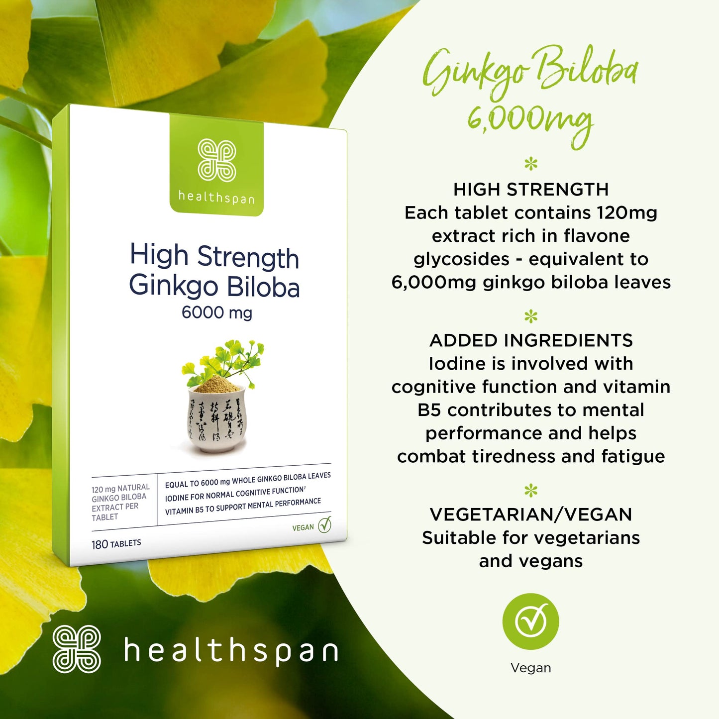 healthspan Healthspan Ginkgo Biloba 6,000mg | High Strength | 180 Tablets | Iodine | Vitamin B5 | Flavone Glycosides | Vegan