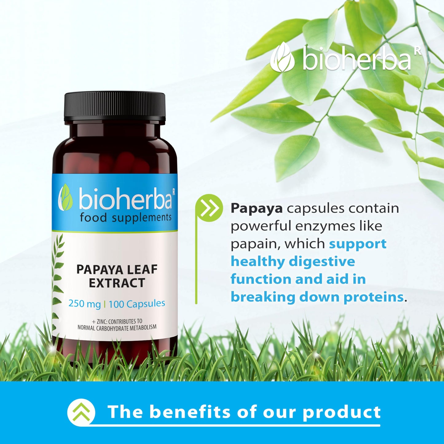 Papaya Leaf 200 mg - 200 Capsules by BIOHERBA | Natural Digestive Support & Immune Booster with Powerful Enzymes for Overall Wellness