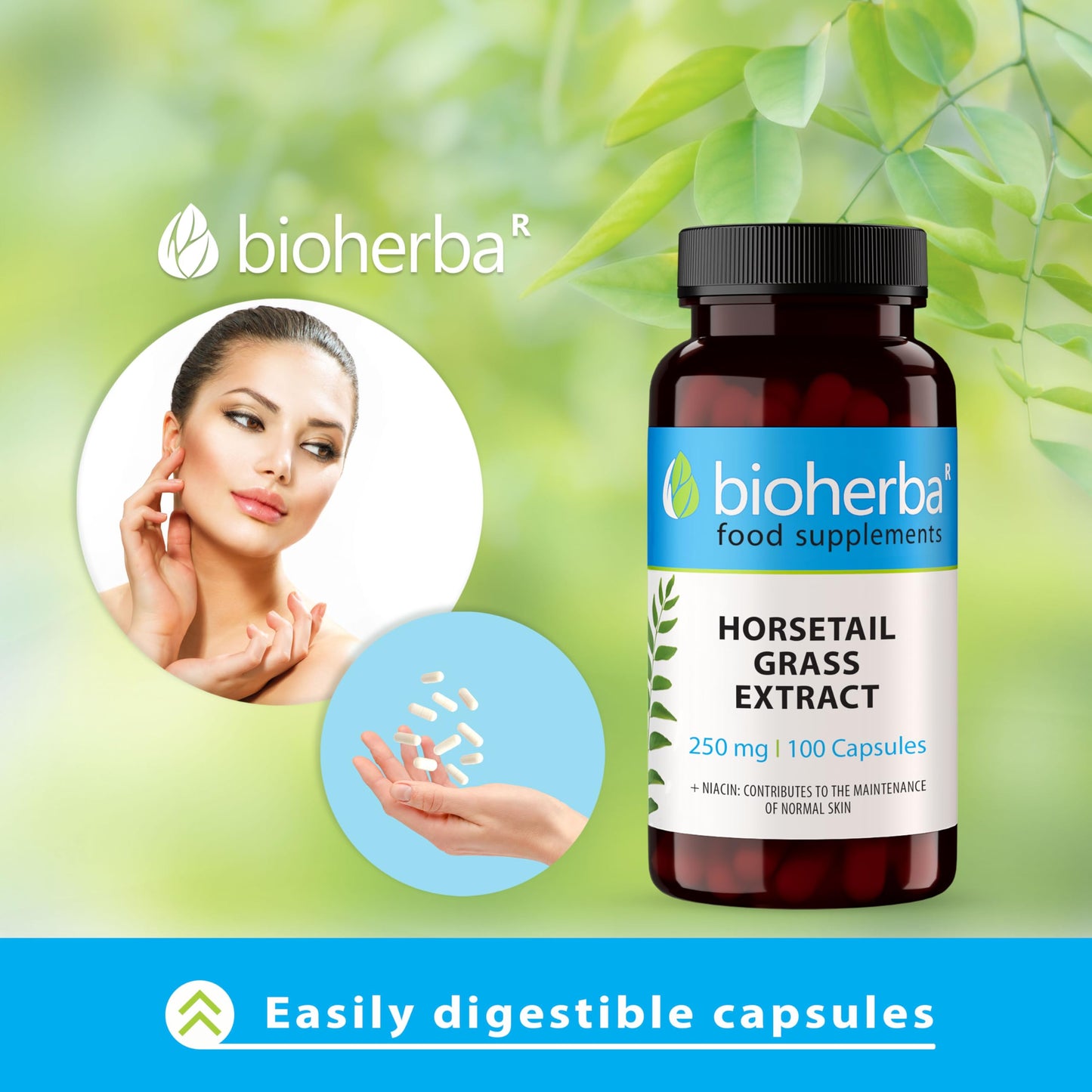 Horsetail Grass Extract 250 mg - 100 Capsules by BIOHERBA | Natural Silica-Rich Supplement for Hair Skin Nails and Bone Health