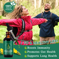 Tamiodfo Mullein Leaf Liquid Drops,Mullein Drops,Mullein Leaf Extract Drops,Mullein Herbal Supplements Drops for Fast Absorption 60ml(2pcs)