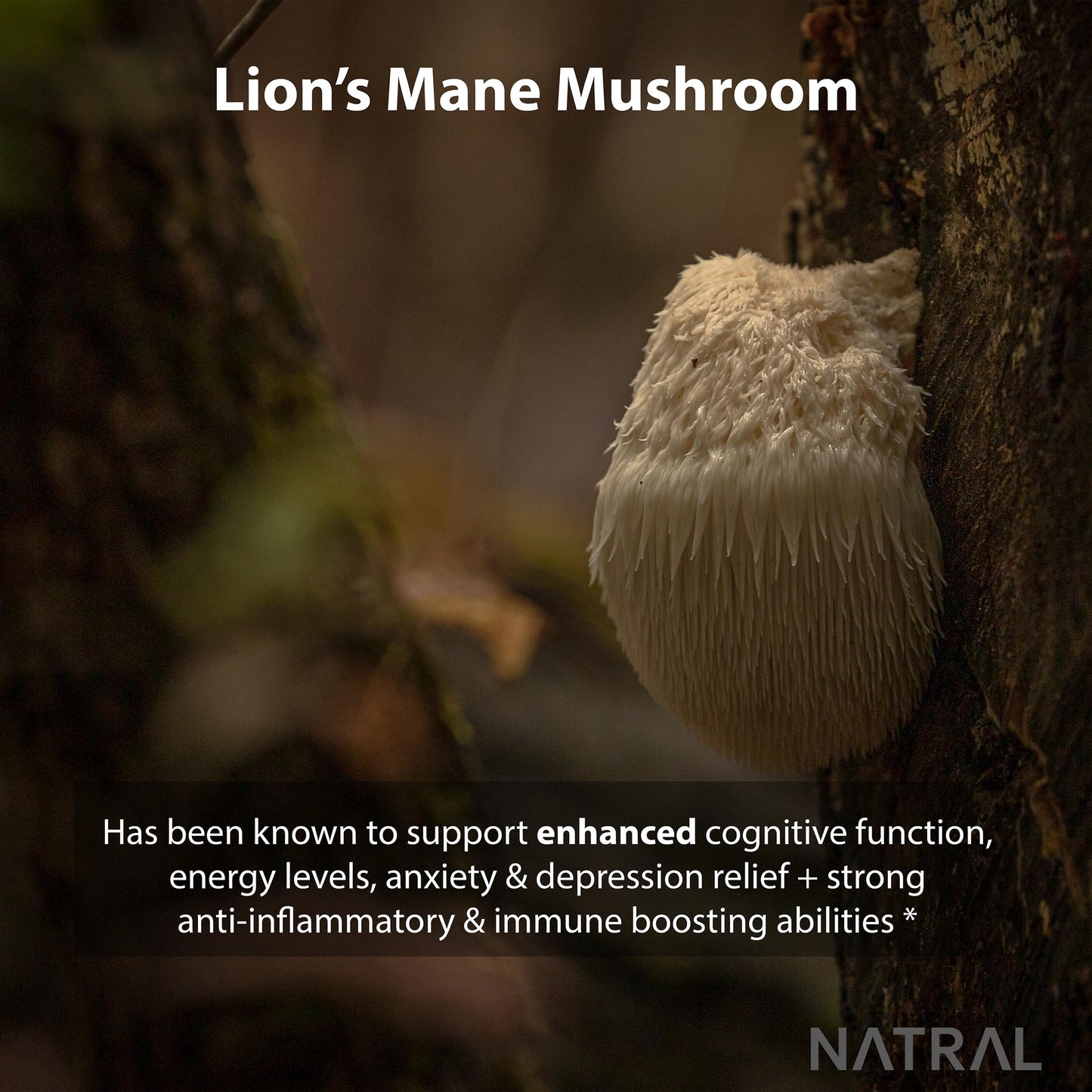 Natral 5000mg Pure Lion's Mane Mushroom High Strength Capsules - 60 Vegan Capsules, No Filler, 100% Fruiting Body Extract with 30% Polysaccharides – Supplement for Mental Clarity and Focus