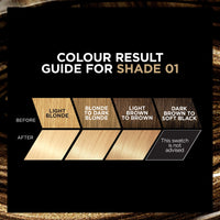 L'ORÉAL L'Oreal Recital Preference Les Blondissimes Lightest Natural Blonde