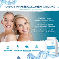 swiss bioenergetics Marine Collagen 600mg 60 Capsules - Highly Bioavailable Naticol® Type 1 Produced by enzymatic hydrolysis ensuring The Highest Levels of oligopeptides with Maximum Purity
