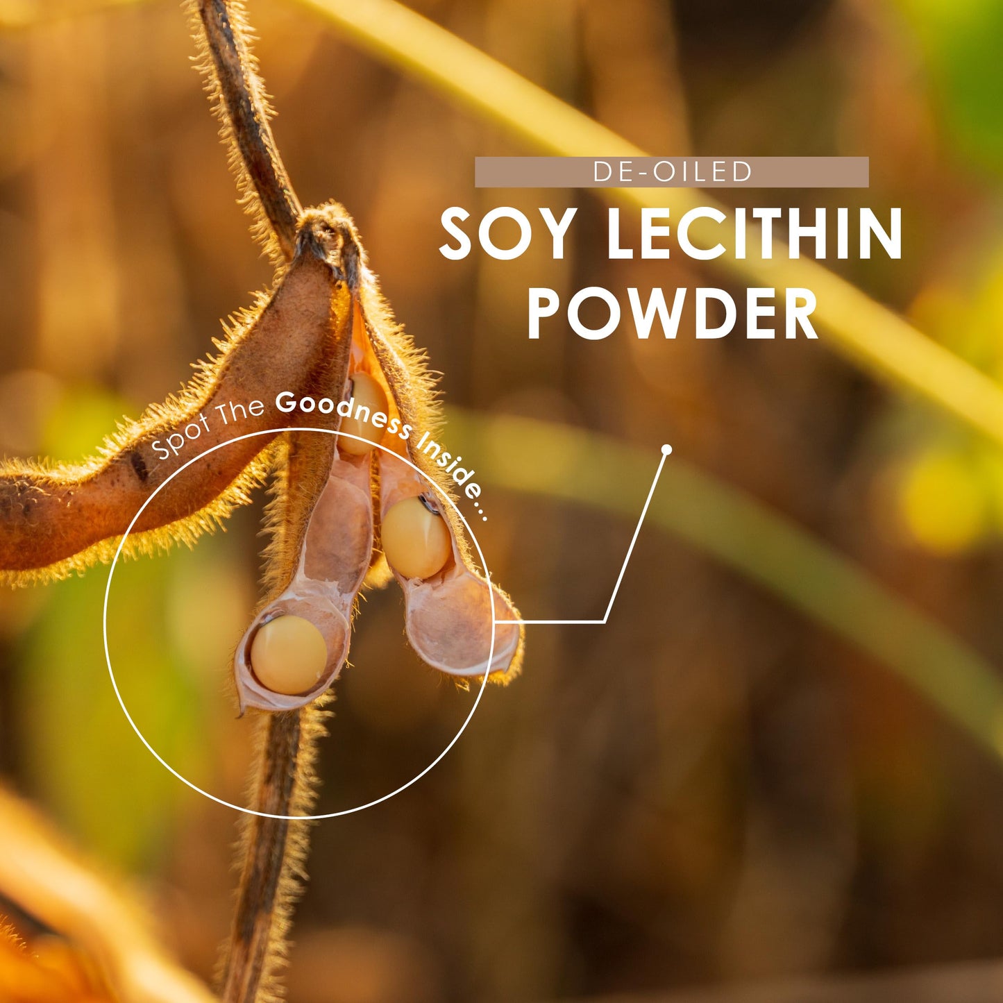 ALPHA01 SOYA Lecithin Powder 100g - De-Oiled 97% Essential Fat - Premium Quality - Vegan, Non-GMO, Gluten Free – Recyclable Bag - by Alpha01