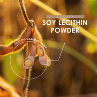 ALPHA01 SOYA Lecithin Powder 100g - De-Oiled 97% Essential Fat - Premium Quality - Vegan, Non-GMO, Gluten Free – Recyclable Bag - by Alpha01