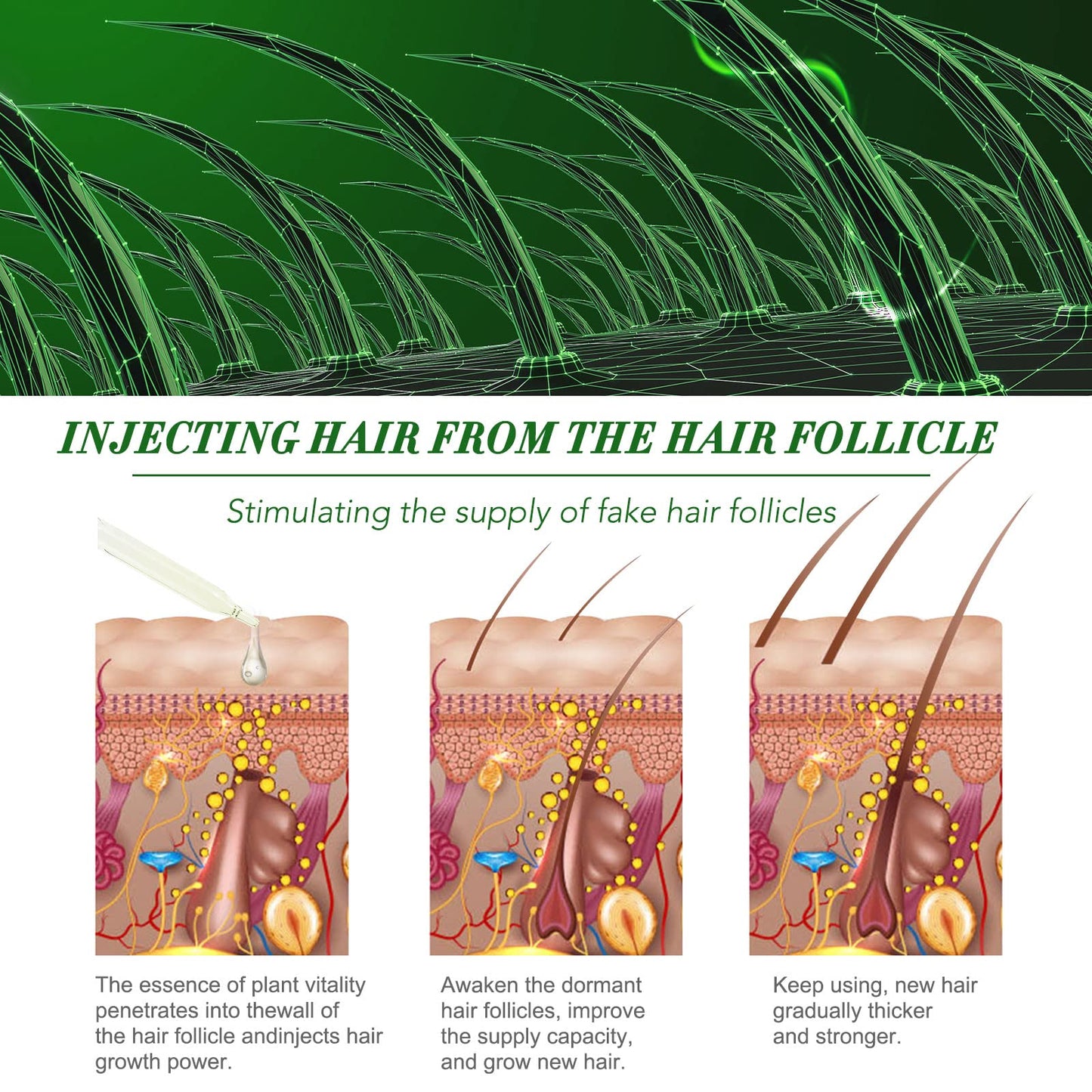 Rosemary Oil for Hair Growth, Strengthens Hair & Stimulates Hair Growth, Improves Blood Circulation, Rosemary Hair Oil Skin Care