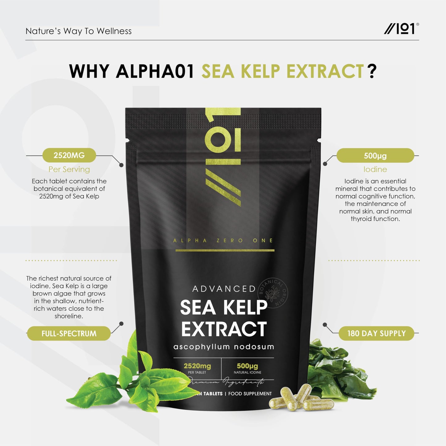 ALPHA01 Sea Kelp Extract 2520mg Tablets - 500μg Natural Iodine - 180 Vegan Tablets (6 Months Supply) - High Strength 30:1 Ascophyllum Nodosum Extract - Resealable and Recyclable Pouch by Alpha01
