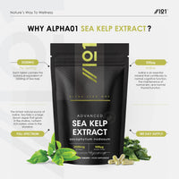 ALPHA01 Sea Kelp Extract 2520mg Tablets - 500μg Natural Iodine - 180 Vegan Tablets (6 Months Supply) - High Strength 30:1 Ascophyllum Nodosum Extract - Resealable and Recyclable Pouch by Alpha01