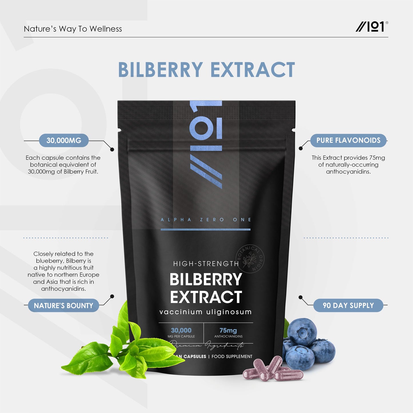 ALPHA01 Bilberry Extract 7500mg - Potent 25% Anthocyanidins from 50:1 Vaccinium Uliginosum Extract - 90 Vegan Capsules (3 Months Supply) by Alpha01