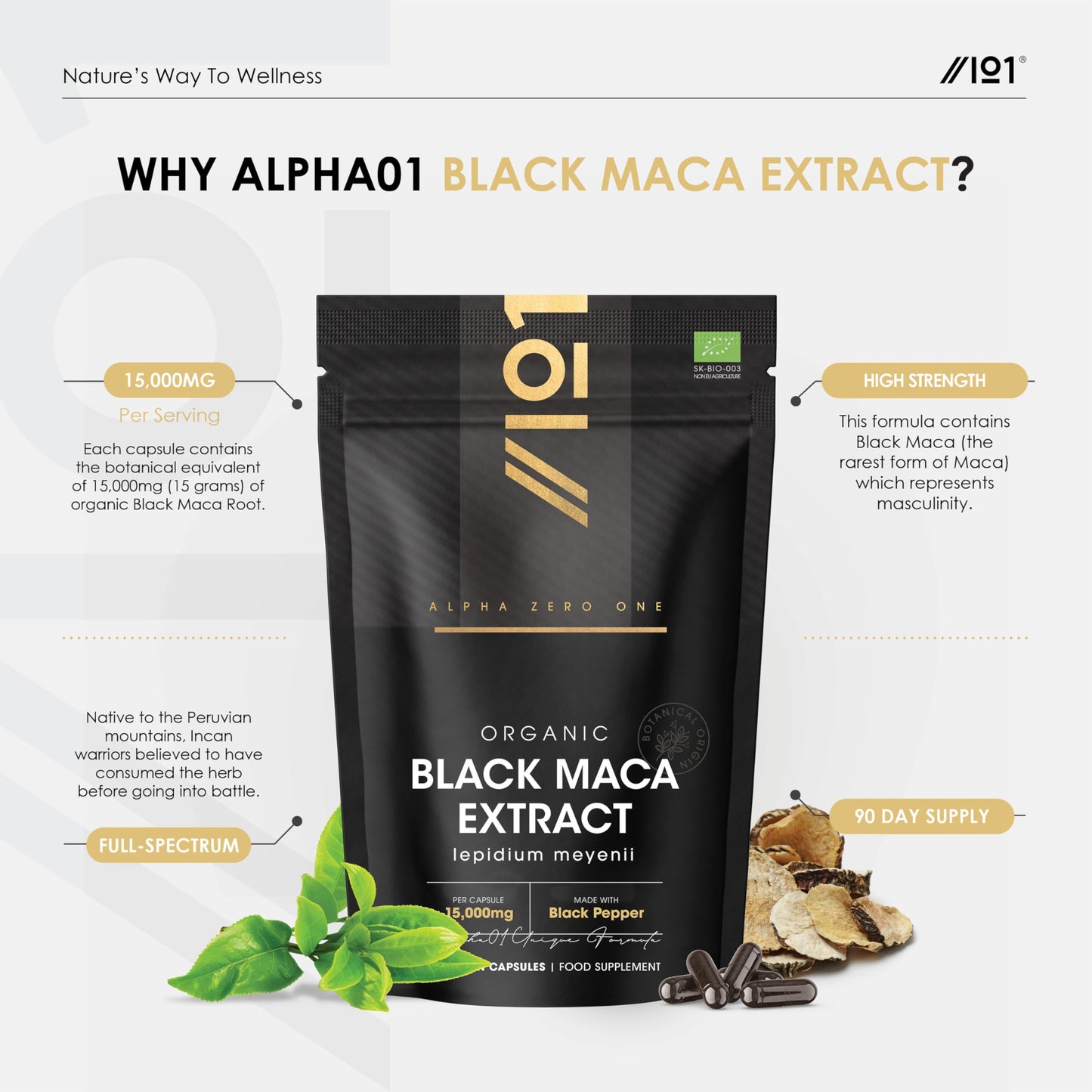 ALPHA01 Organic Black Maca Extract 15,000mg with Black Pepper - 90 Vegan Capsules (3 Months Supply) – High Strength 30:1 Black Maca Extract - Resealable and Recyclable Pouch – by Alpha01