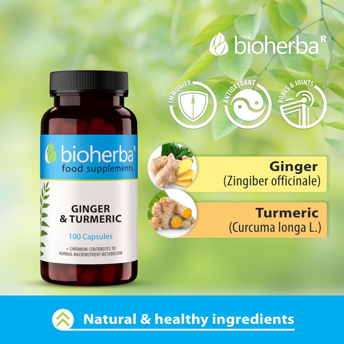 BIOHERBA 100 Ginger and Turmeric Capsules High Strength Curcumin Anti Inflammatory Suitable for Energy & Metabolism - Immune Health Supplements - Enhances Defense System