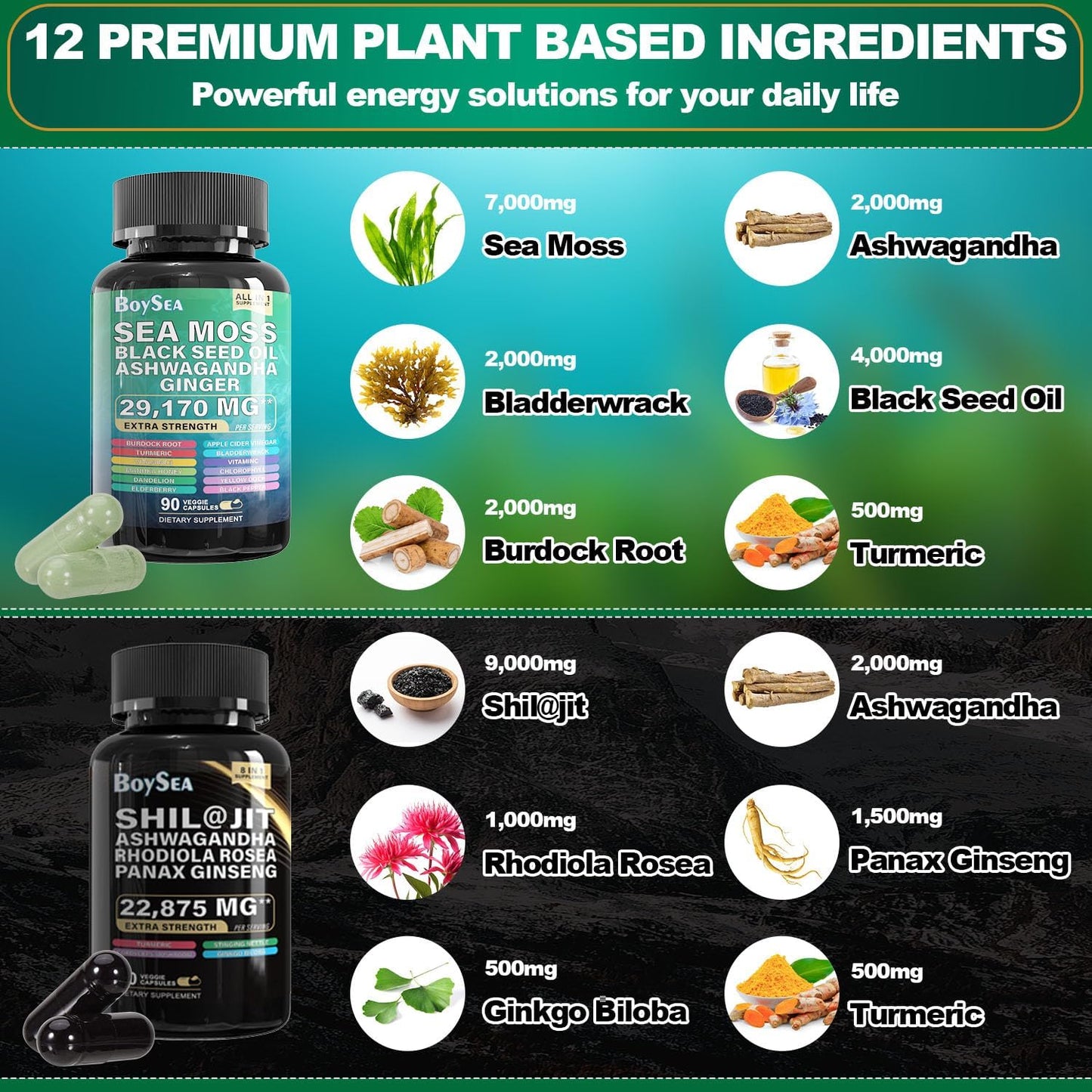 Sea Moss and Shilajit Bundle - All in 1 Supplements, 90 Count Each, 180 Caps Total