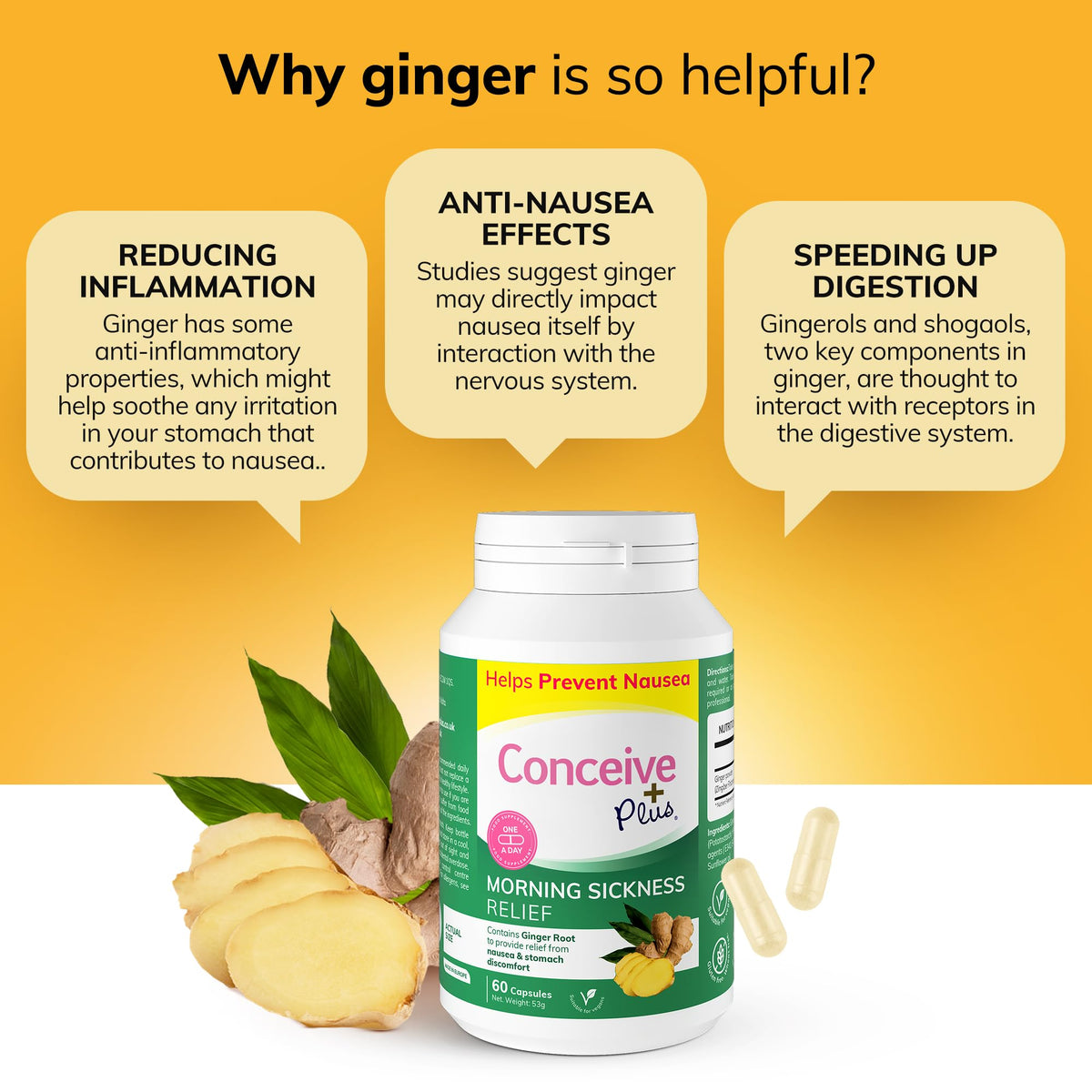 CONCEIVE PLUS Conceive Plus Morning Sickness Relief - Pure Dried Ginger Powder - Nausea, Motion, and Stomach Discomfort Relief for Pregnancy - Essential for Expecting Moms - Non-GMO - 60 Vegan Capsules