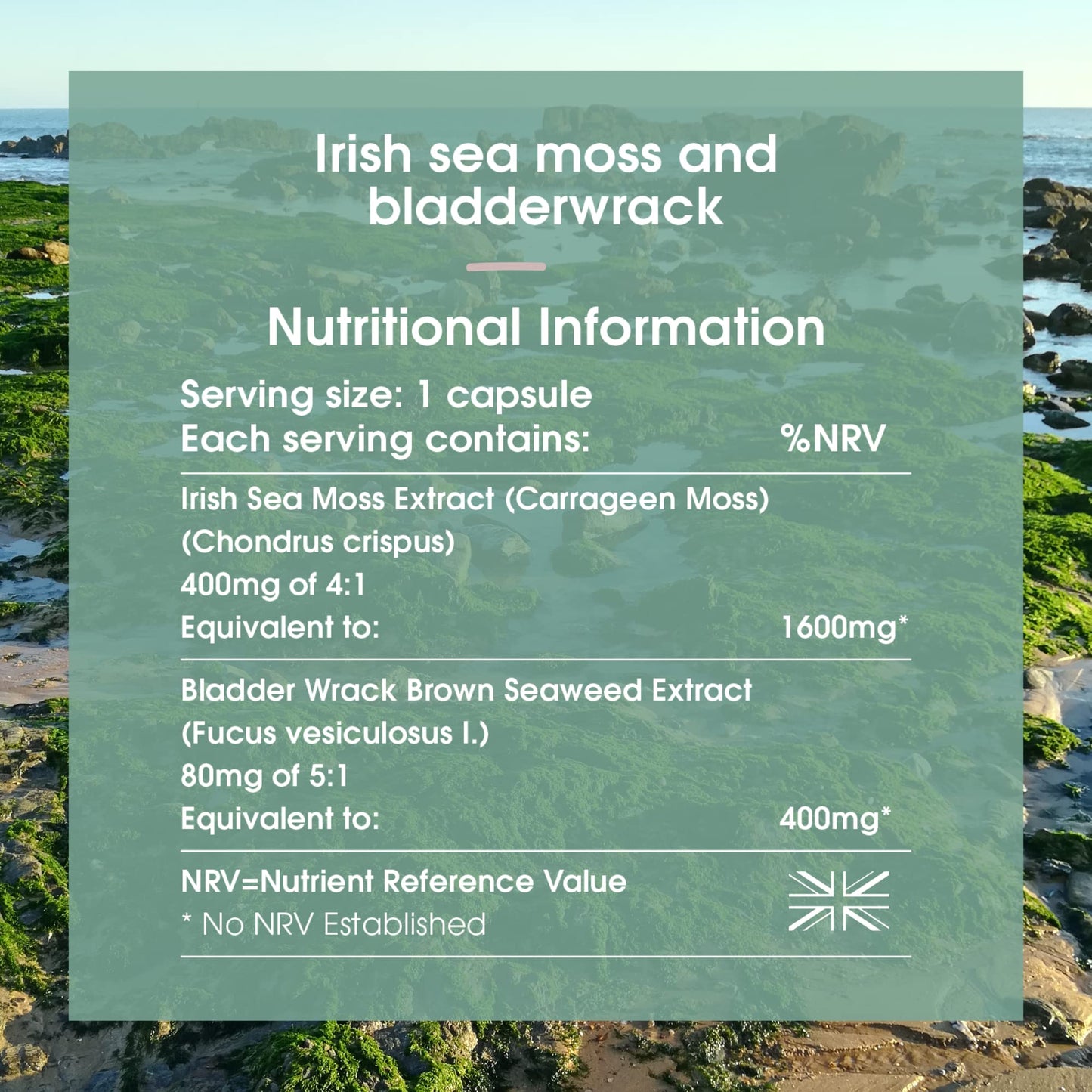 INNOPURE Irish Sea Moss & Bladderwrack - High Strength, Ethically Sourced SeaMoss in a Vegan Capsule - Non GMO, UK Made (60 Capsules)